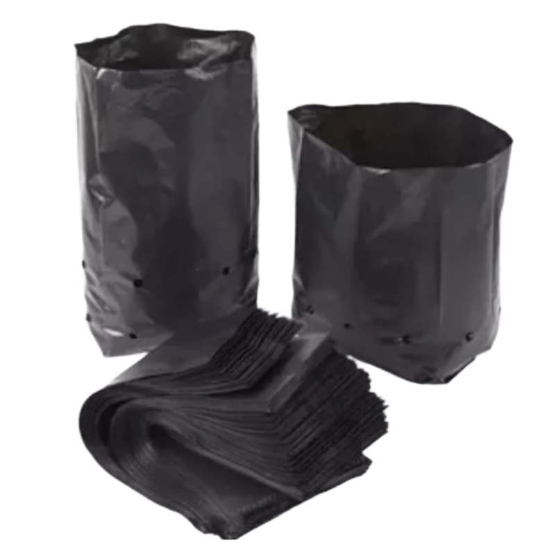 اكياس تشتيل